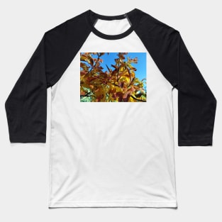 Fall foliage Baseball T-Shirt